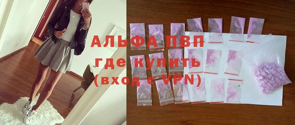 дурь Ельня