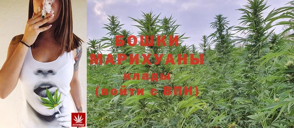 дурь Ельня