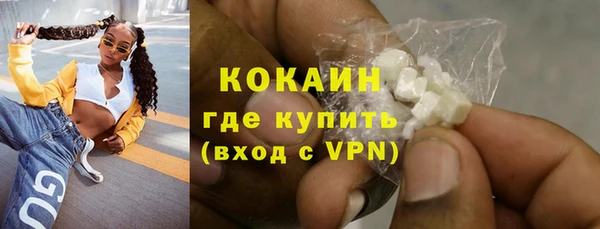 дурь Ельня