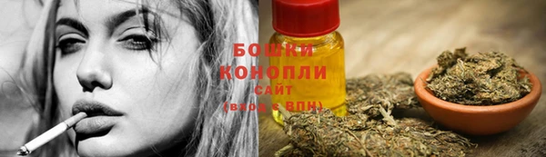 дурь Ельня