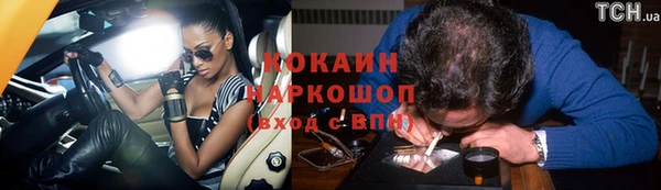 дурь Ельня