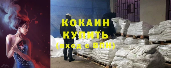 дурь Ельня